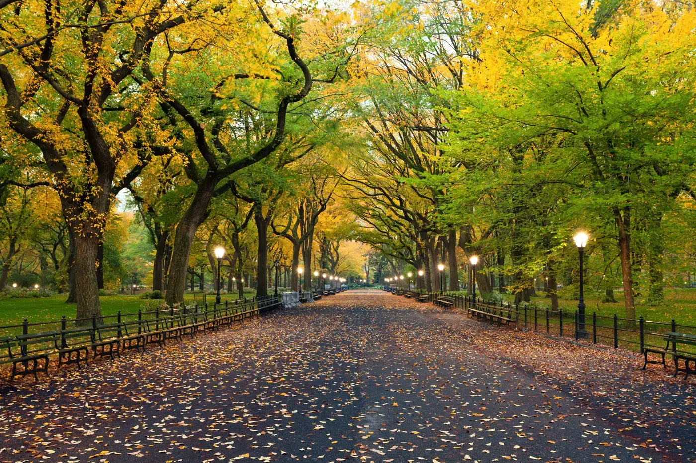 The Mall in Central Park with lamps and benches